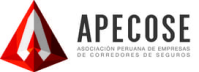 Corredores de Seguros VIP