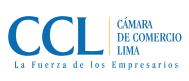 Corredores de Seguros VIP